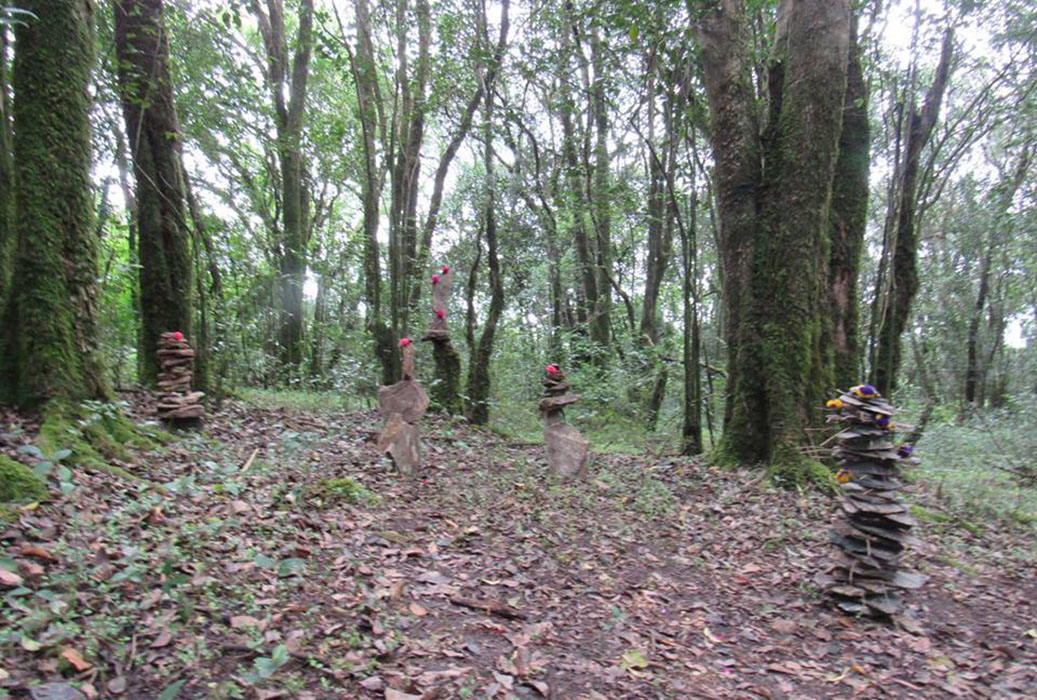 Yungas Arte Contemporáneo
