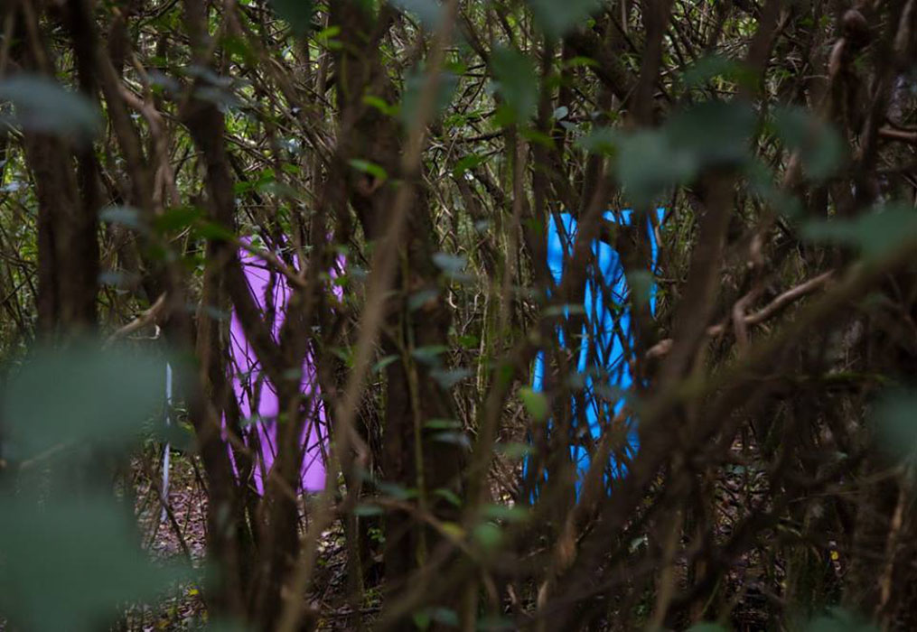 Yungas Arte Contemporáneo