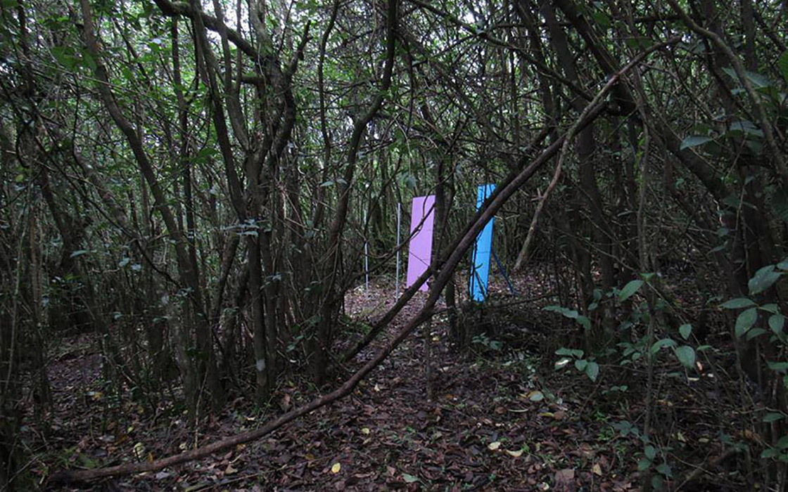 Yungas Arte Contemporáneo