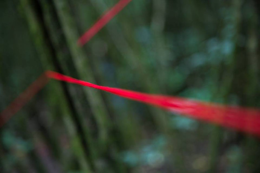 Yungas Arte Contemporáneo