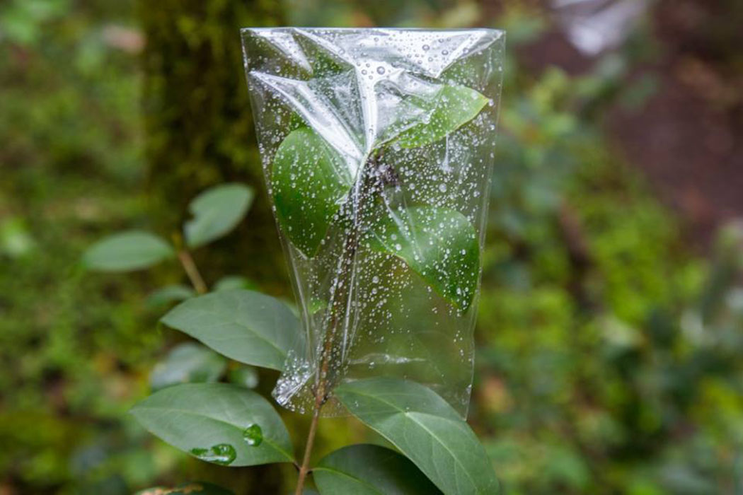 Yungas Arte Contemporáneo